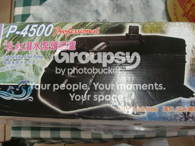 Dolphin500Proff004.jpg