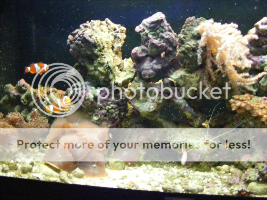 DSCF2782.jpg