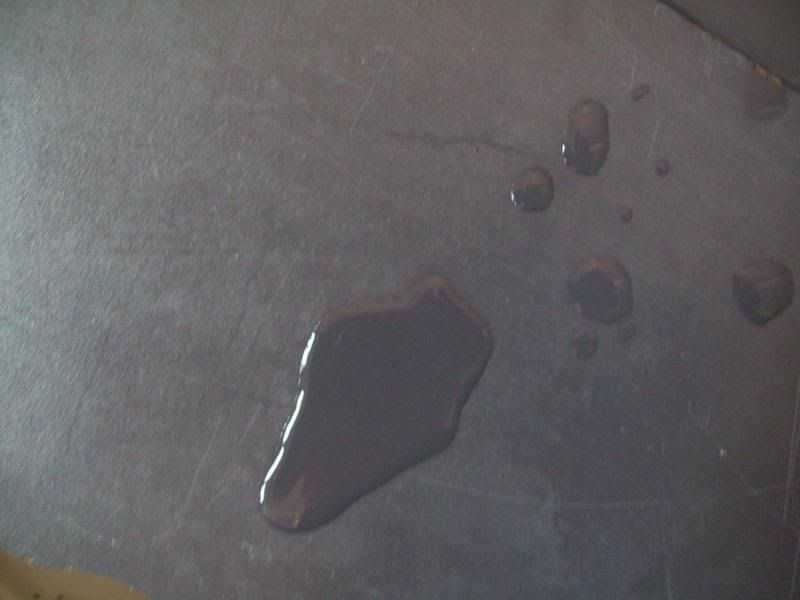101_1214.jpg