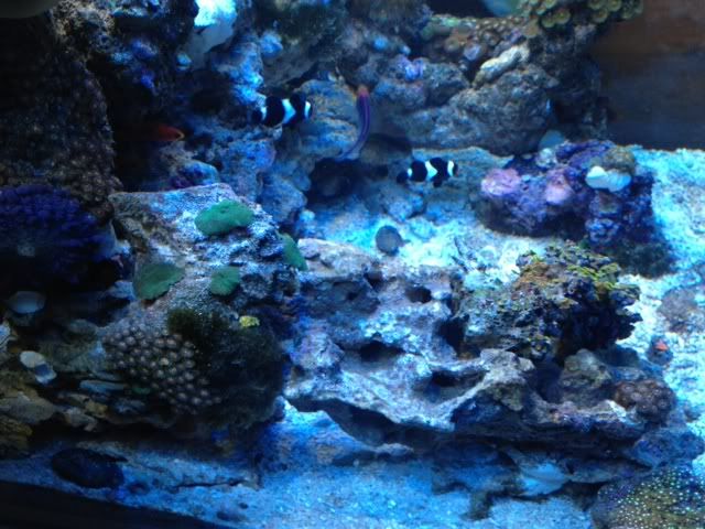 photo4-15.jpg