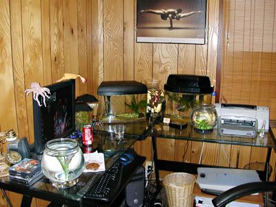DSCN8069.jpg