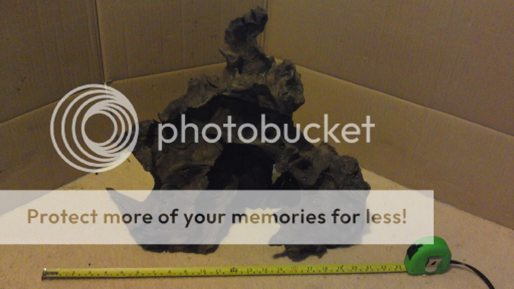 picbyd024.jpg