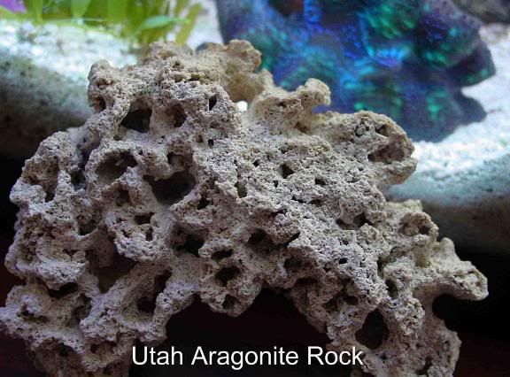 2005-03-07_163446_aragonite_rock_1.jpg