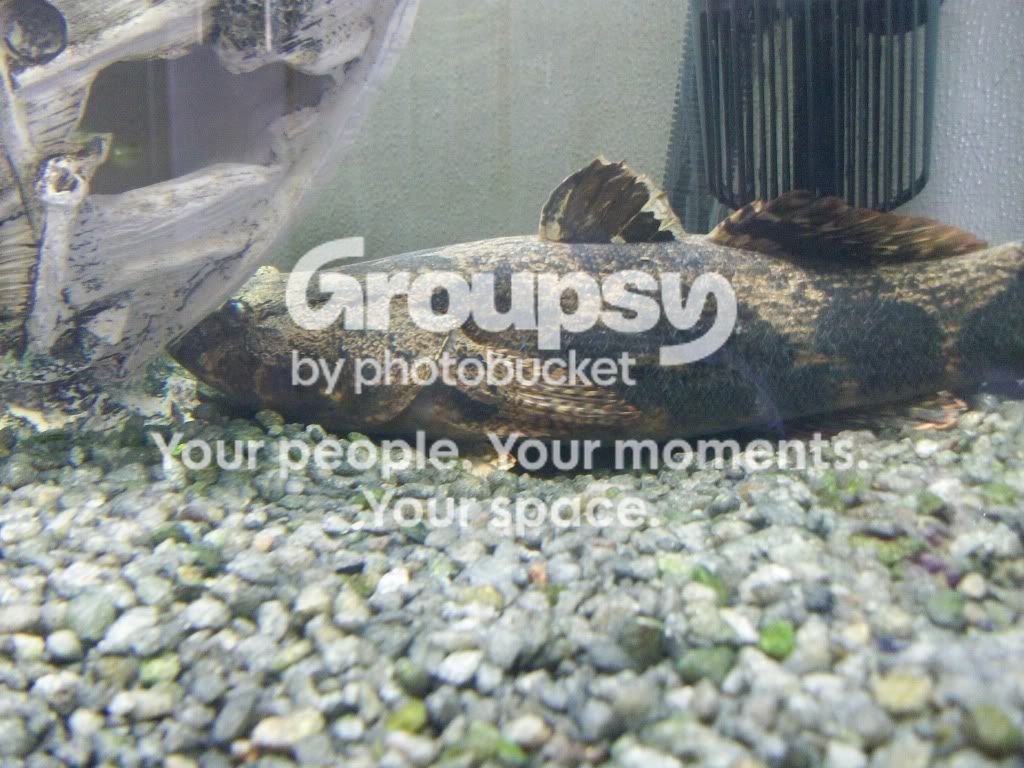 100_2802.jpg