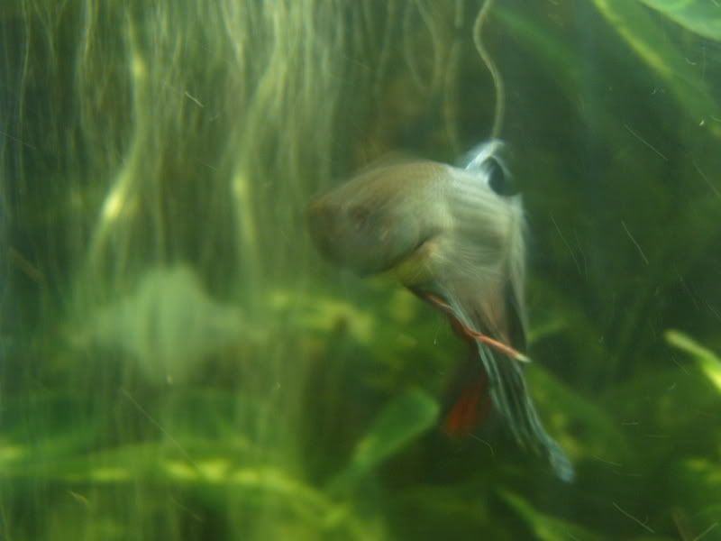 S3700019.jpg