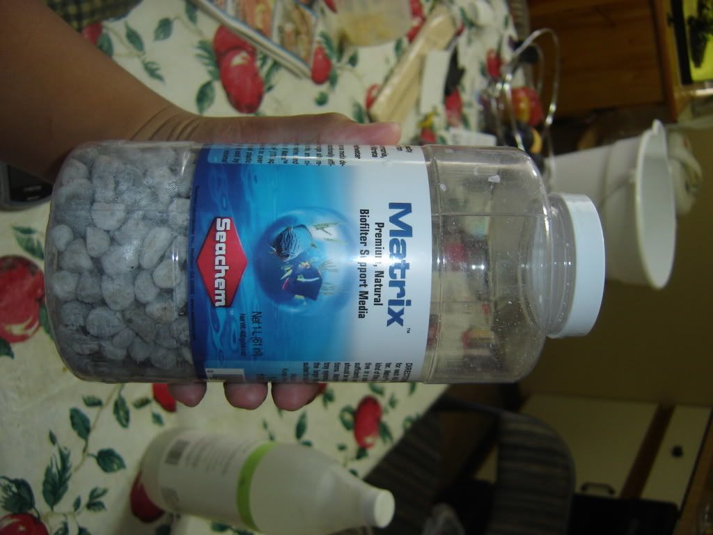progessof20gallon030.jpg