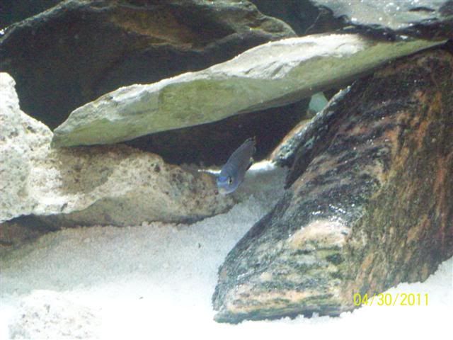 102_3606.jpg