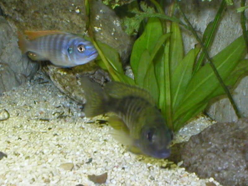 P1010055.jpg