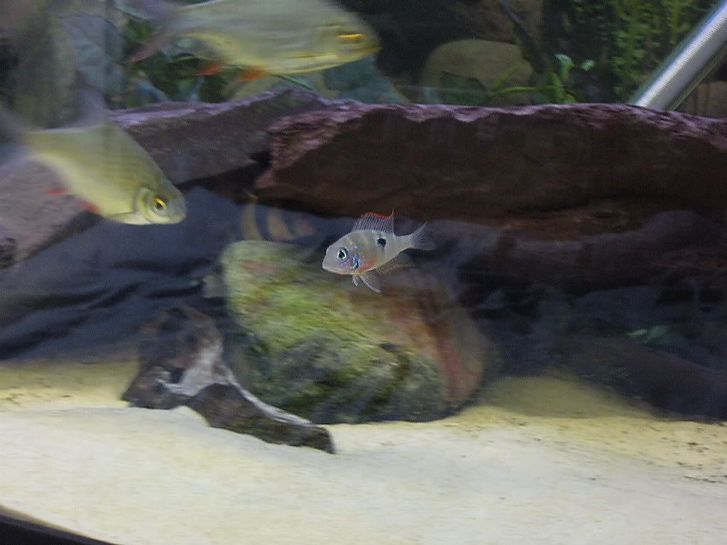 DSCN9662.jpg