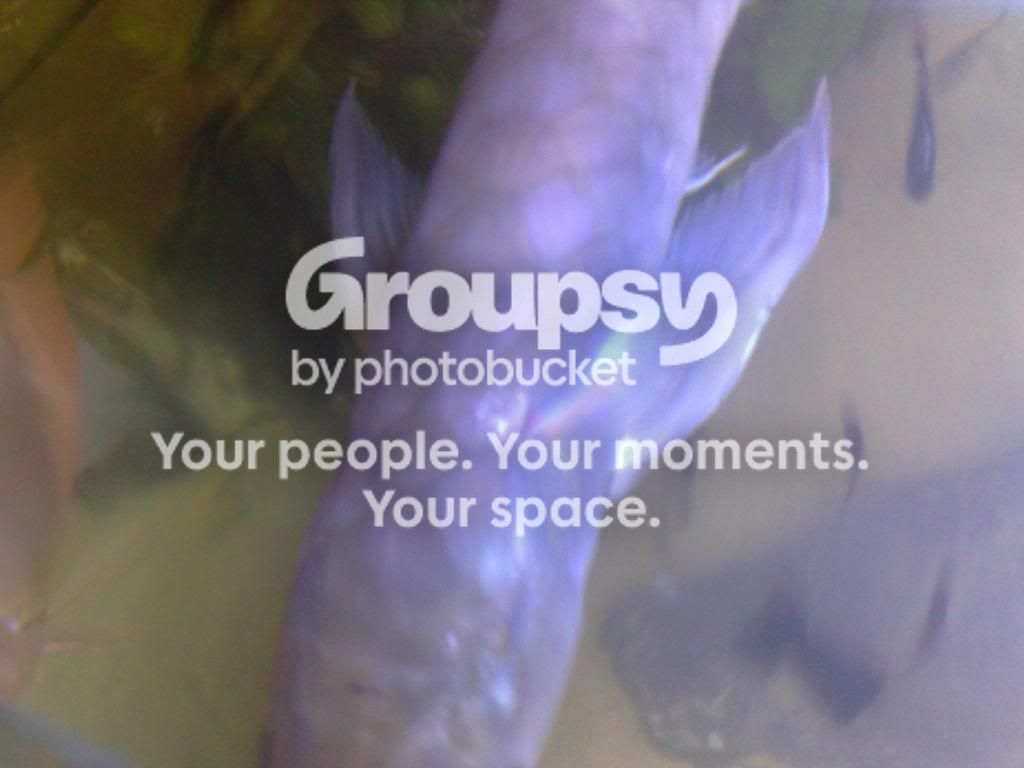 20042009193.jpg