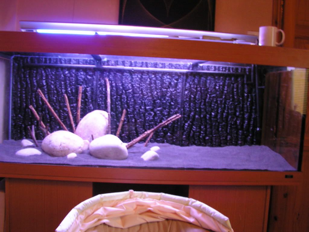 PICT1131.jpg