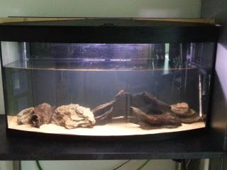 20121012_161504.jpg