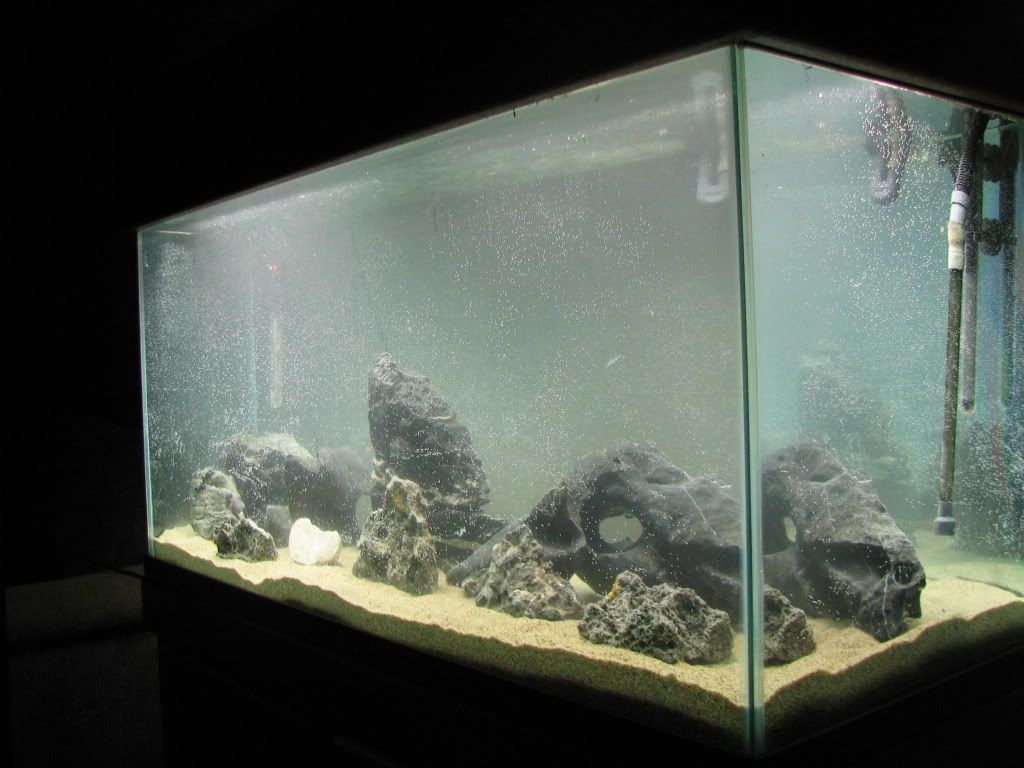FishTank002.jpg