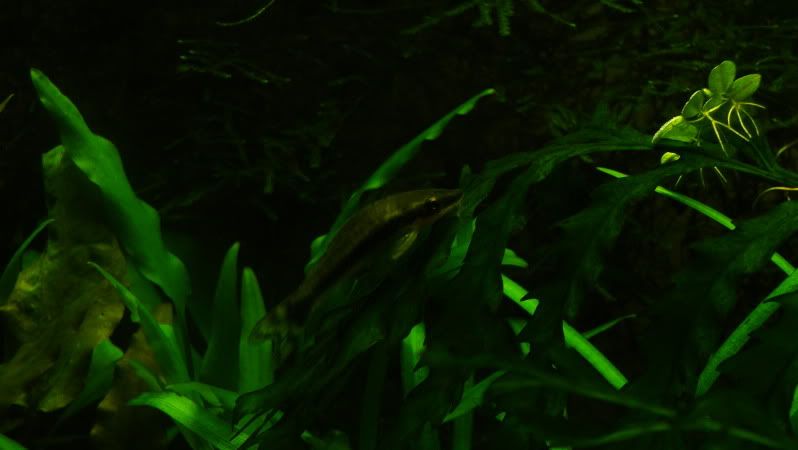 DSC03937.jpg