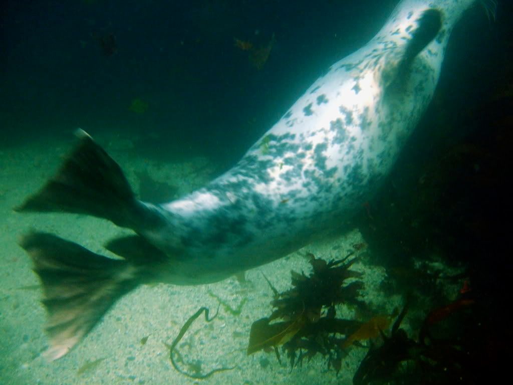 DSCF6095.jpg
