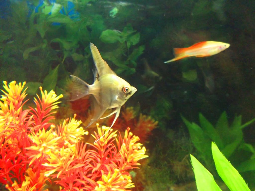 DSCF1280.jpg