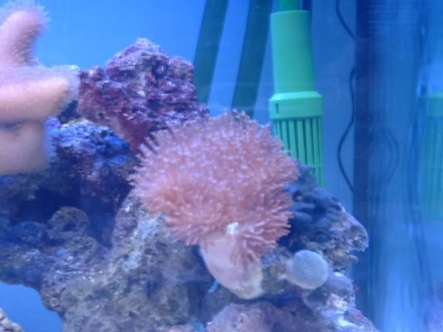 DSCF0141.jpg