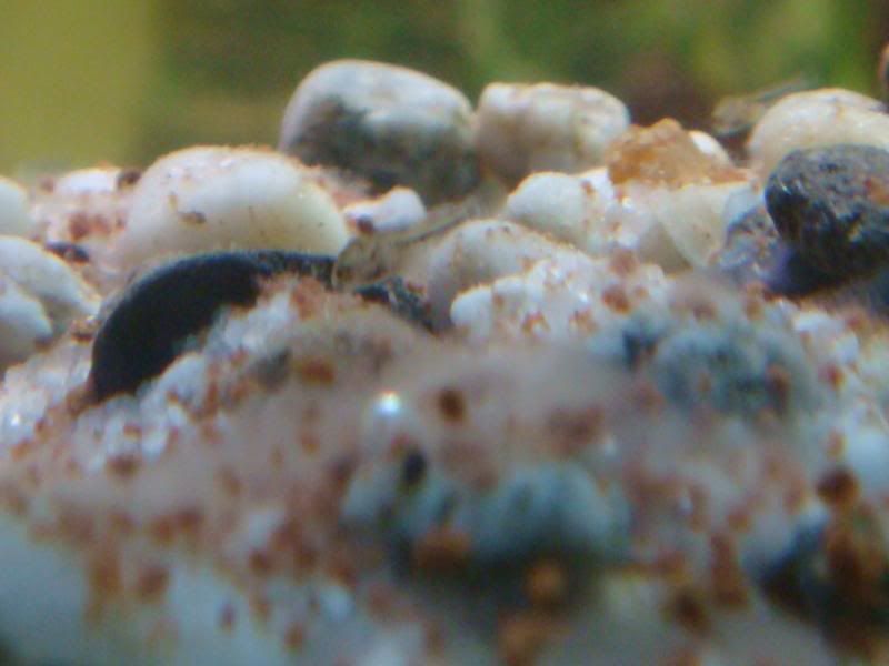 babies009.jpg