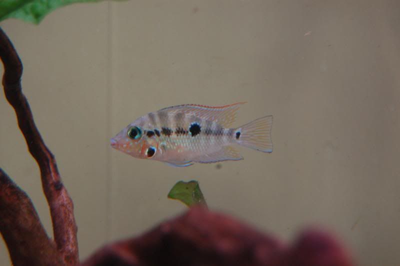 DSC_0025.jpg