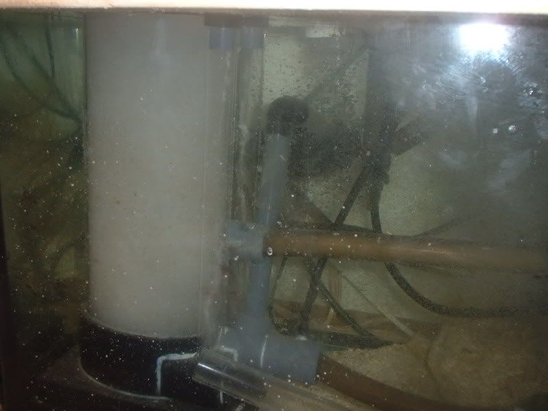 DSCF0004-1.jpg
