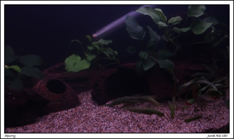9newscape.jpg