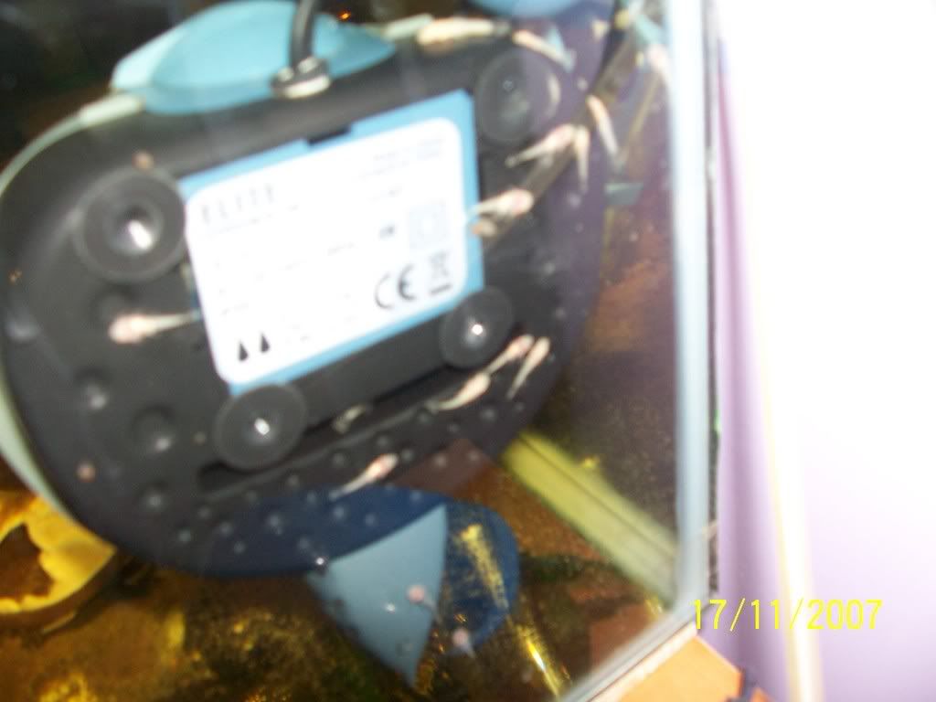 100_3428.jpg