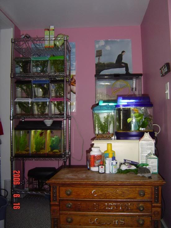 room.jpg