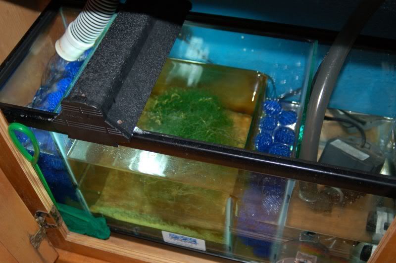 refugium3.jpg