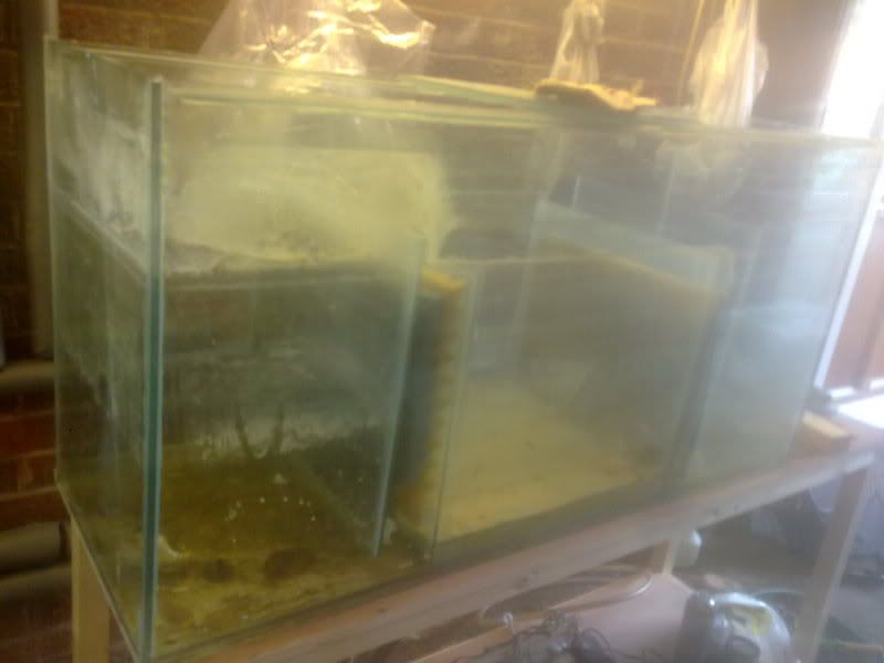 23042011085.jpg
