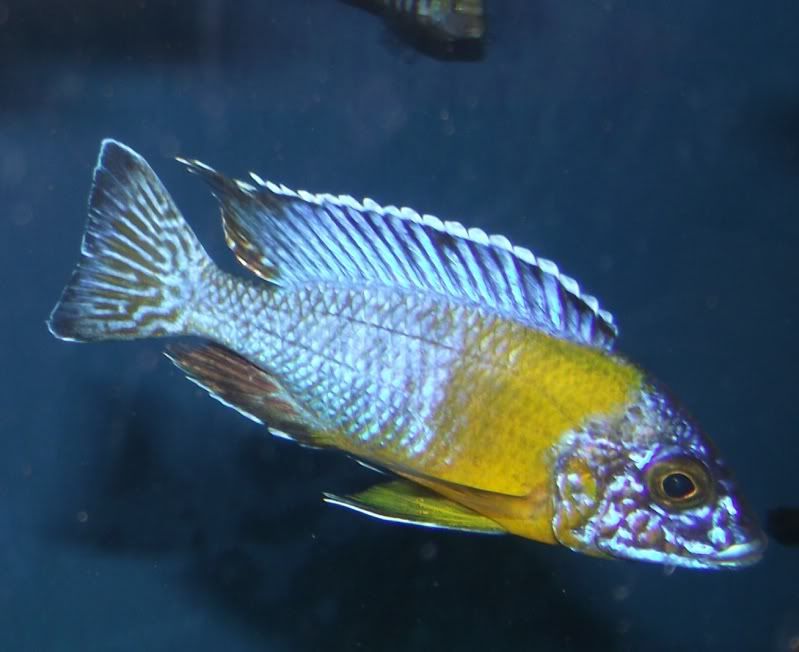 DSCF8170.jpg