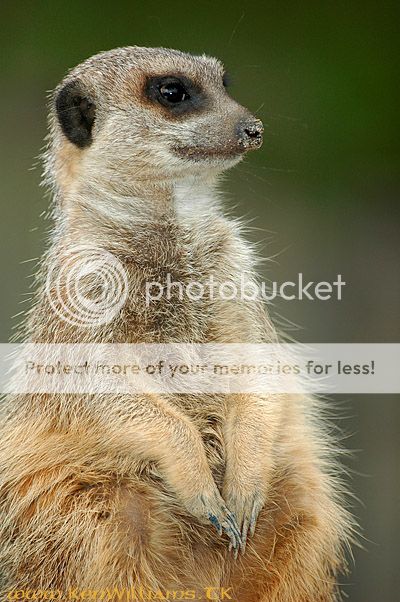 Zoomonday43.jpg