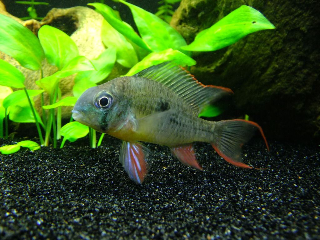 DSCF4422.jpg
