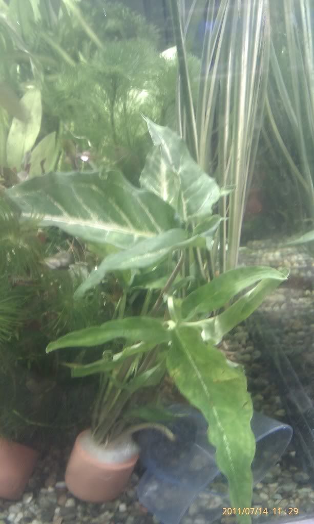 IMAG0123.jpg