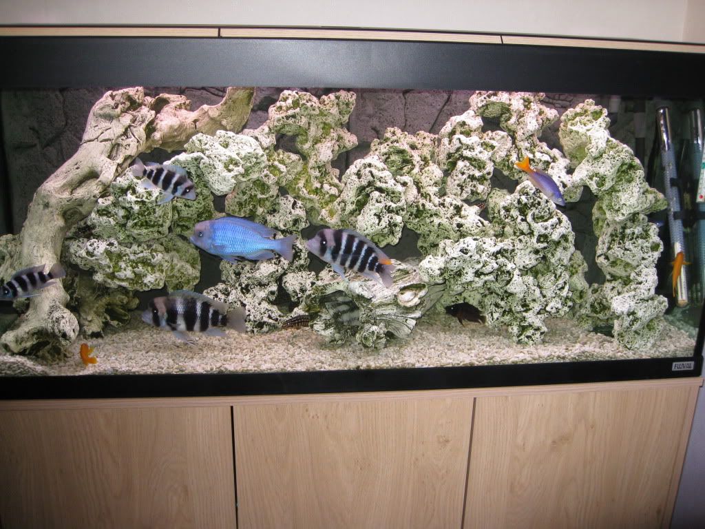 IMG_2800.jpg