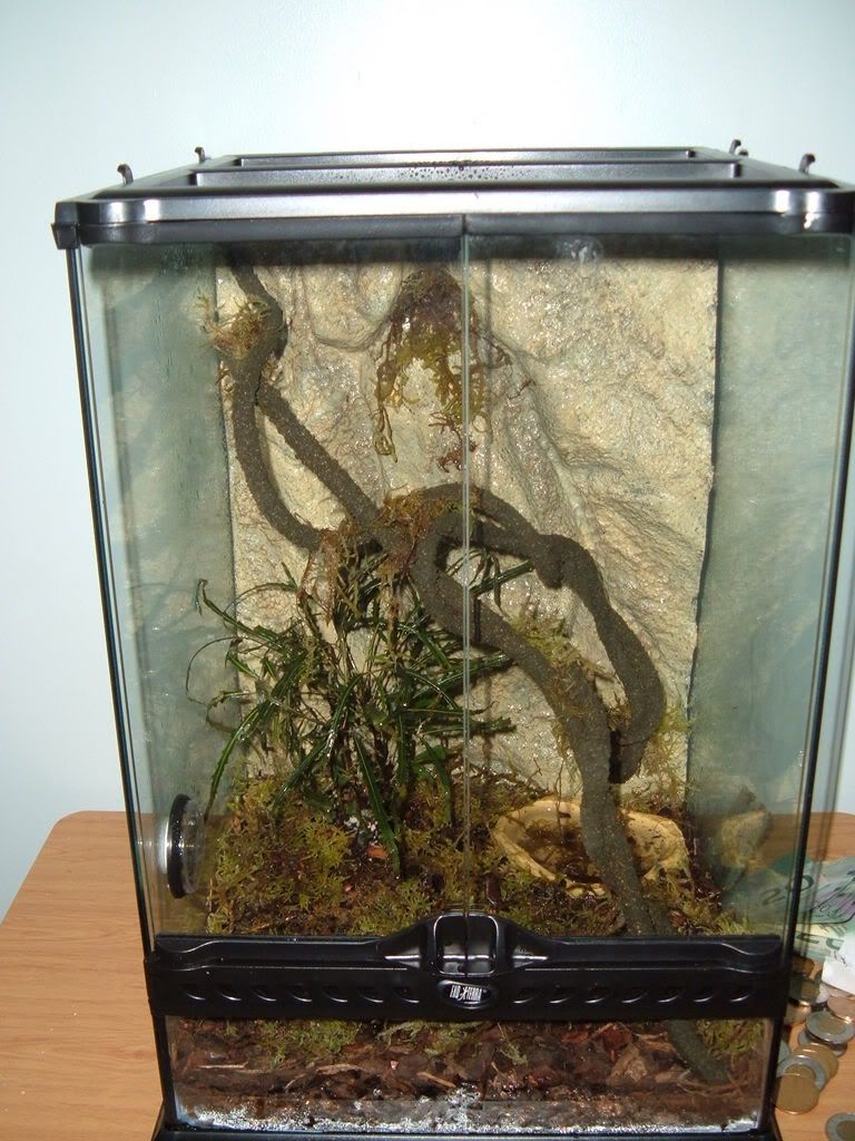 DSCF2505.jpg