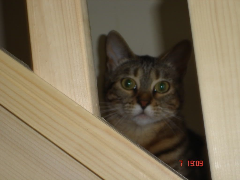 DSC00918.jpg