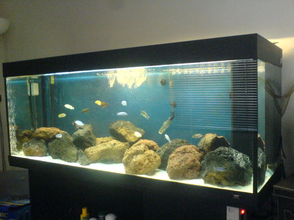 DSC02274.jpg