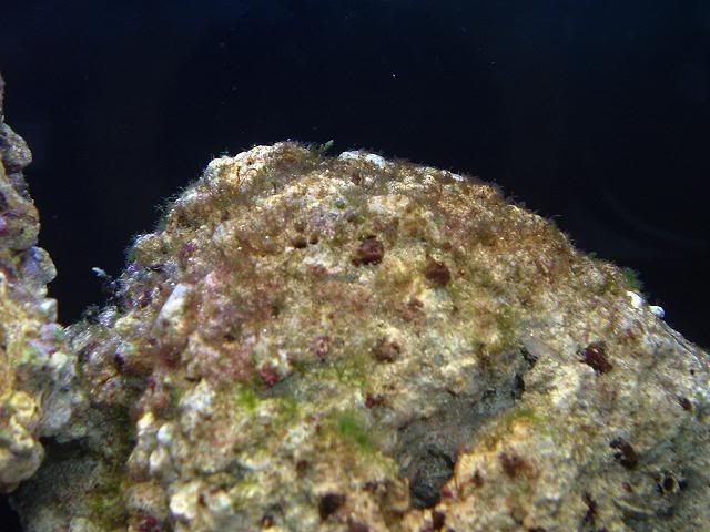 DSCF0300.jpg