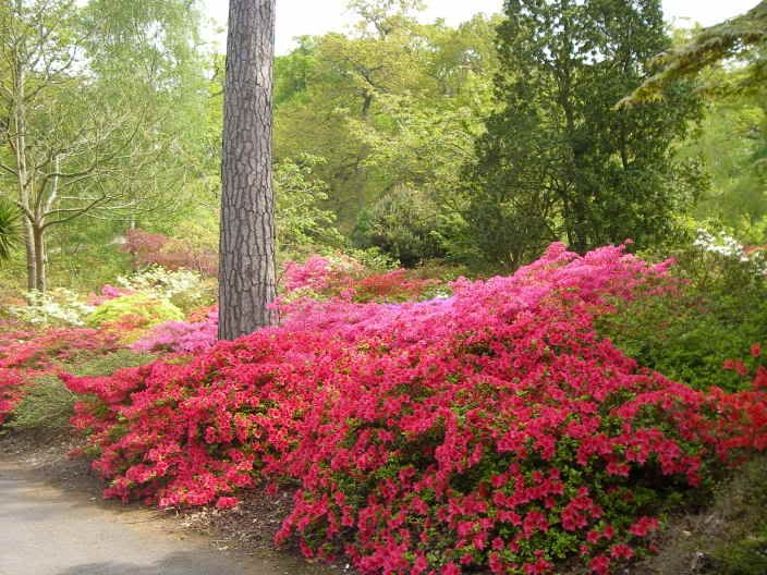 exburygardens008.jpg
