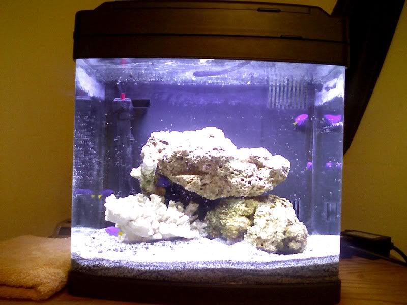 fishtank2.jpg