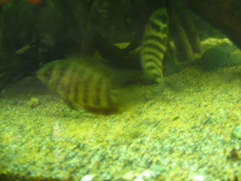 DSCN1732.jpg