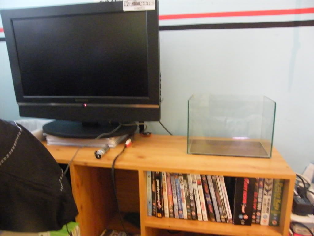 DSCF4537.jpg