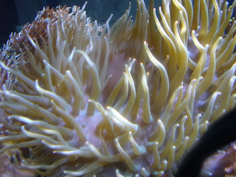P1010141.jpg