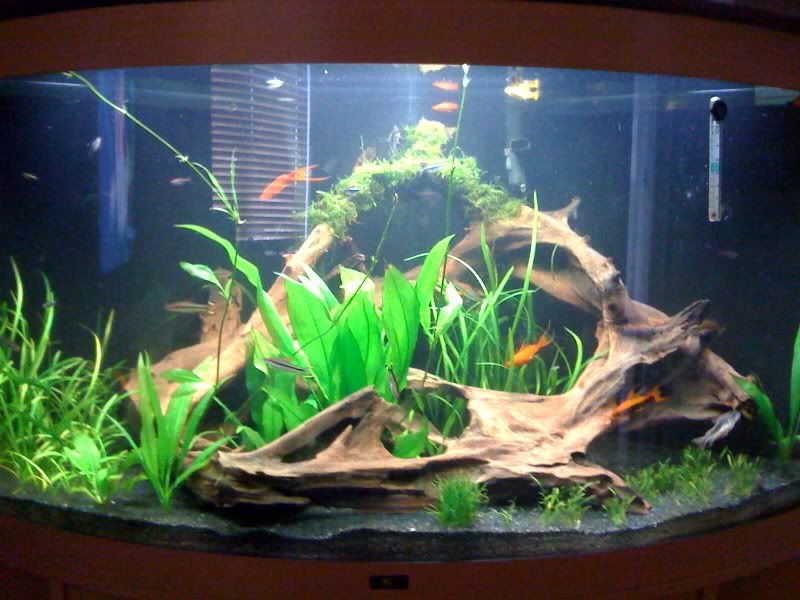 photo-1.jpg