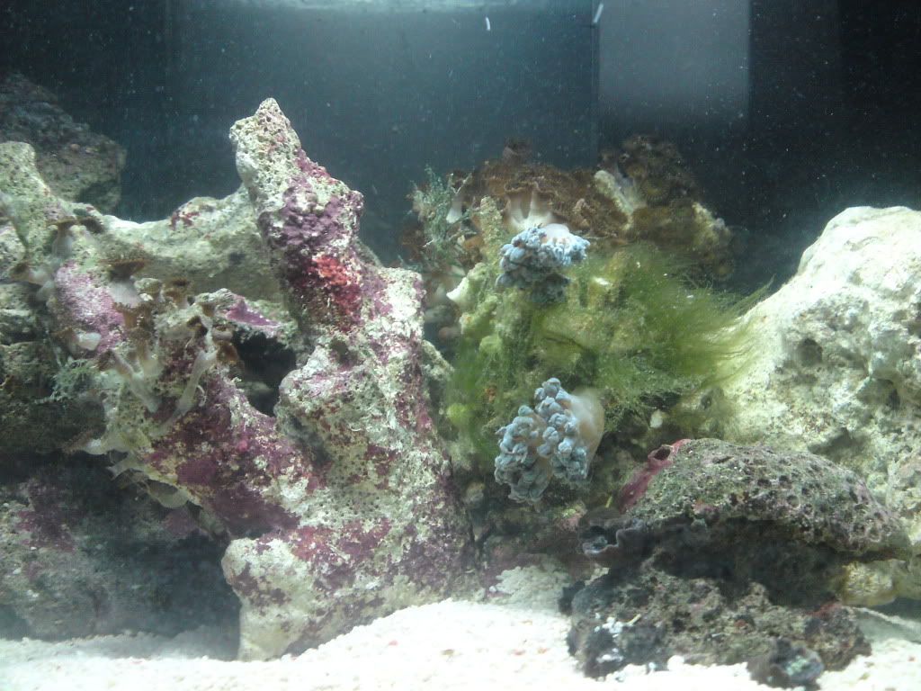 P24-05-10_003801.jpg