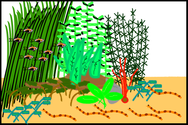 aquascape.png