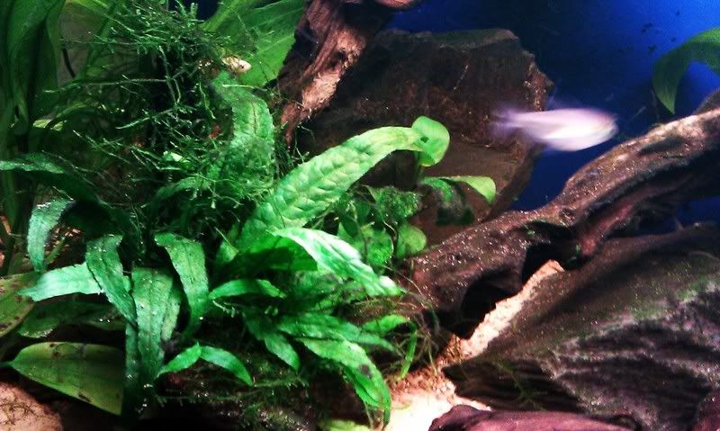IMAG0937.jpg