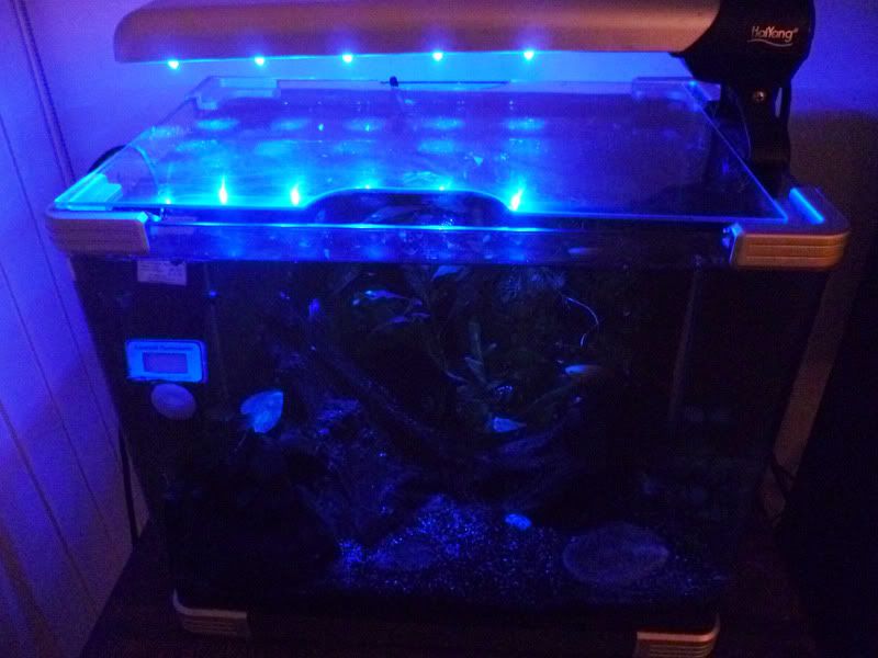 fishtankblue.jpg
