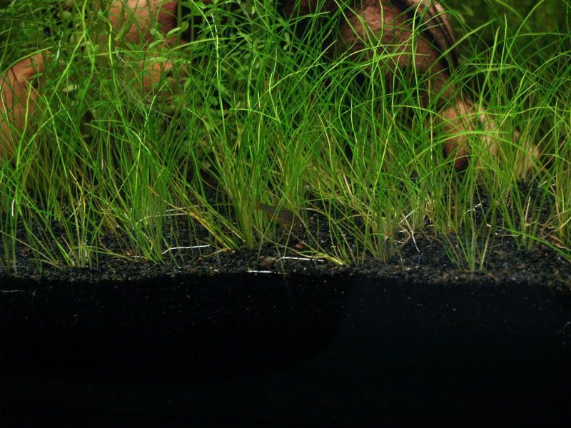 Cleancube006.jpg