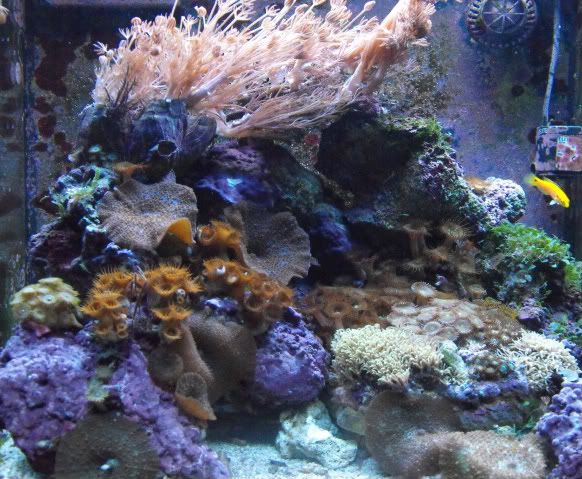 Picture021-1.jpg
